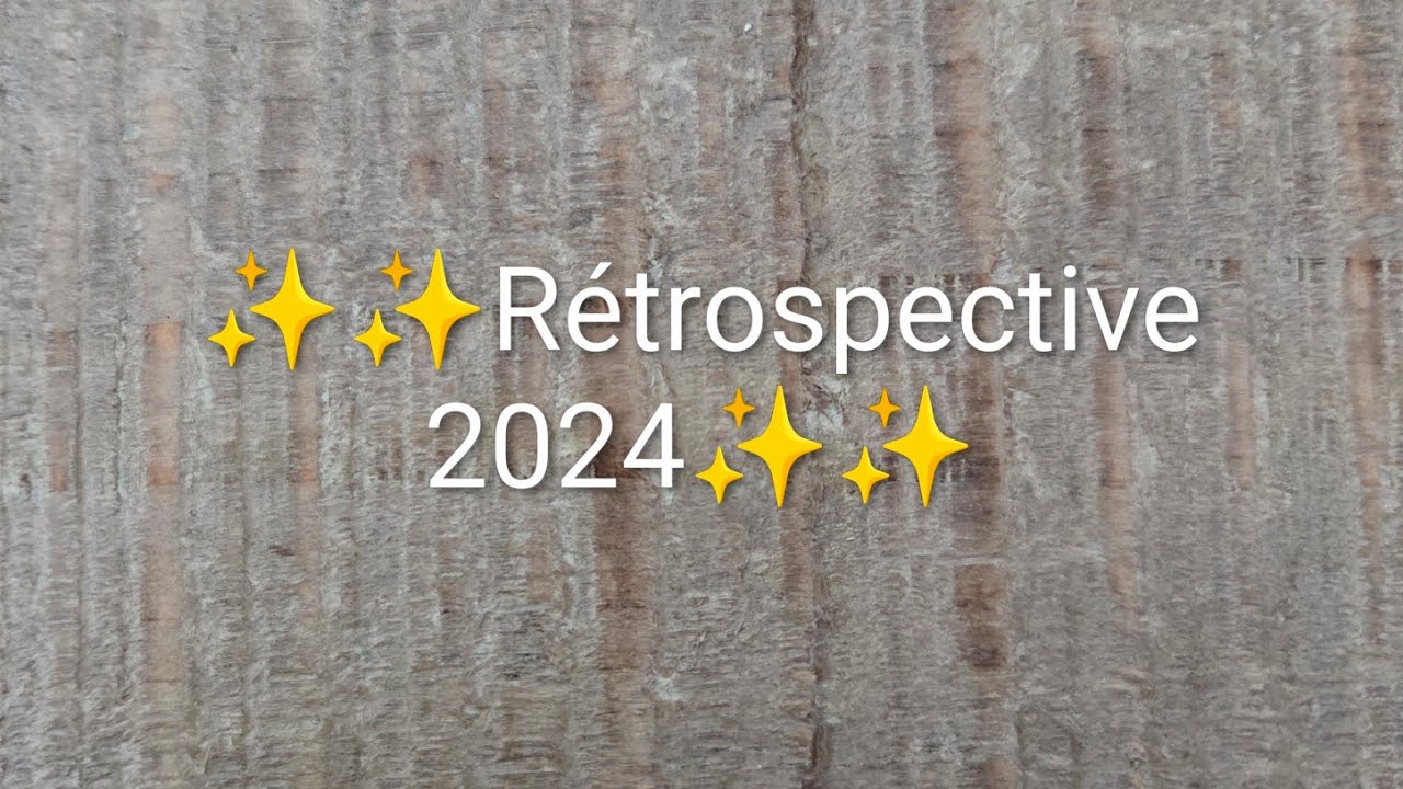 Diamond Painting Rétrospective des dp terminés en 2024