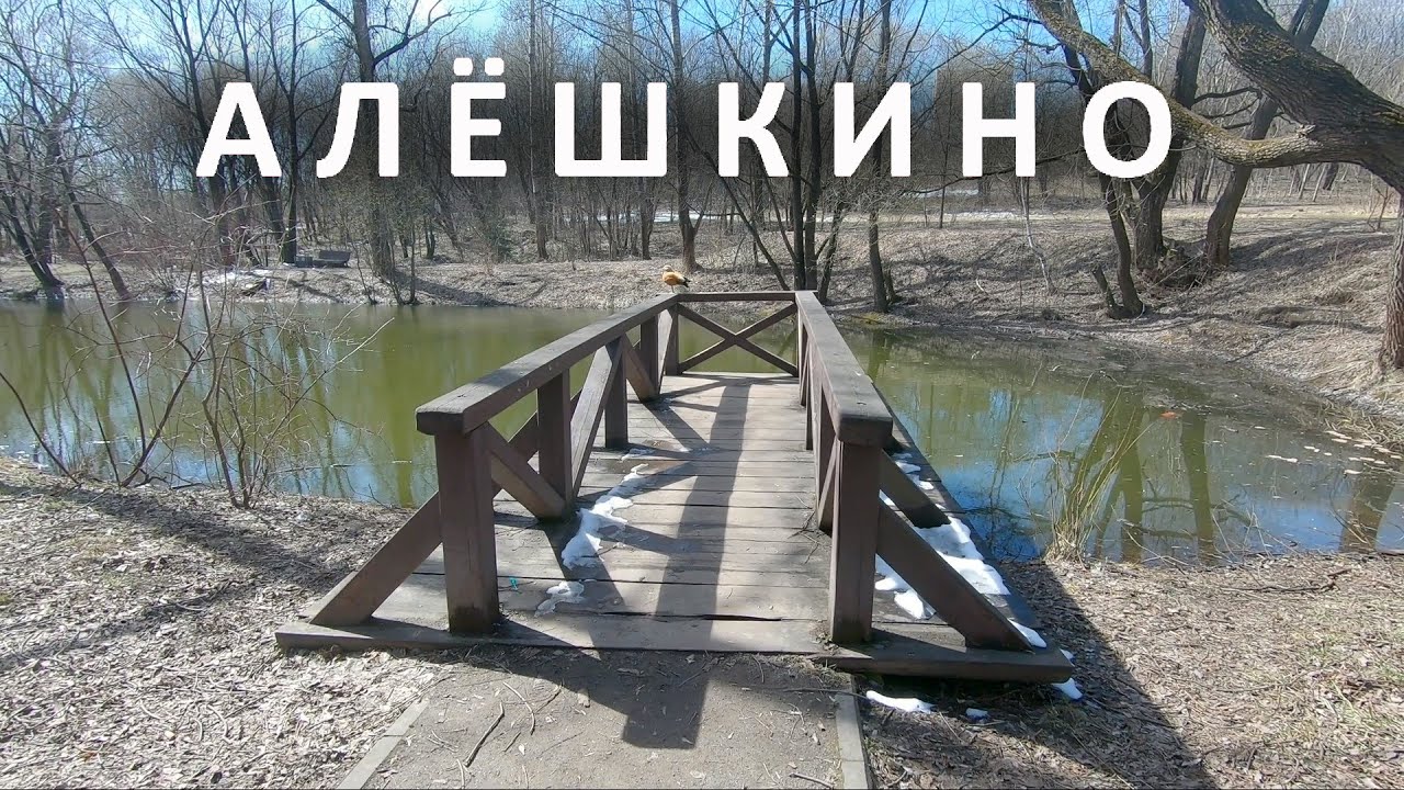 Москва, АЛЁШКИНО 2020-2025 гг. , Северное Тушино.