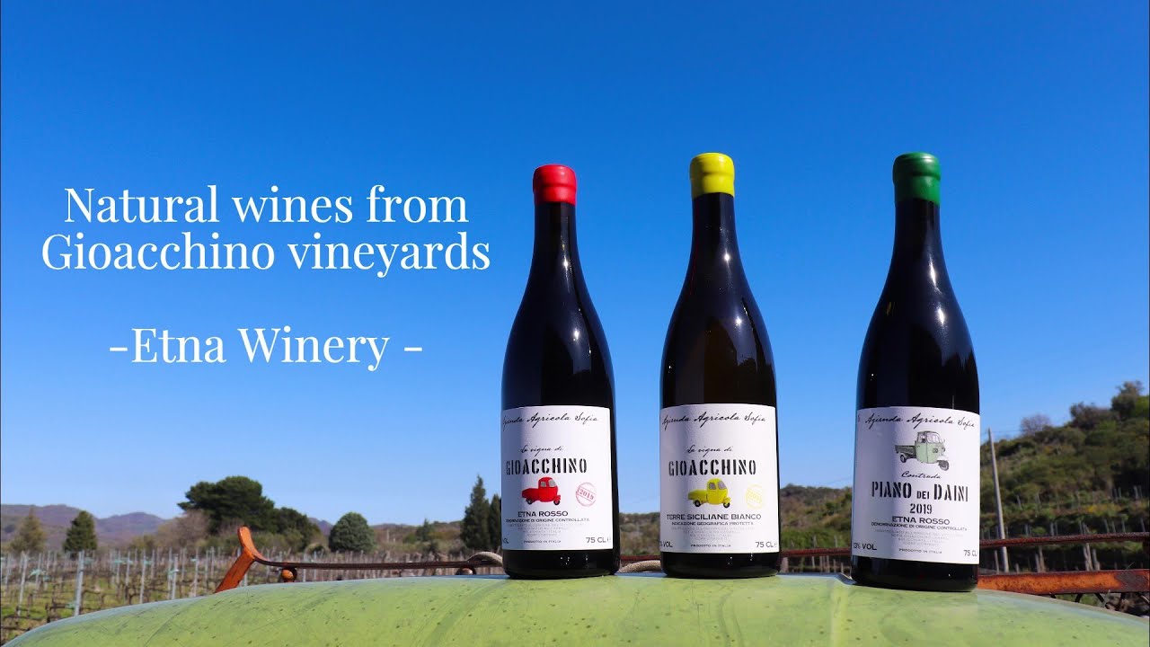 Etna Winery | Gioacchino Vineyards - A natural family affair (Az. Agricola Sofia)