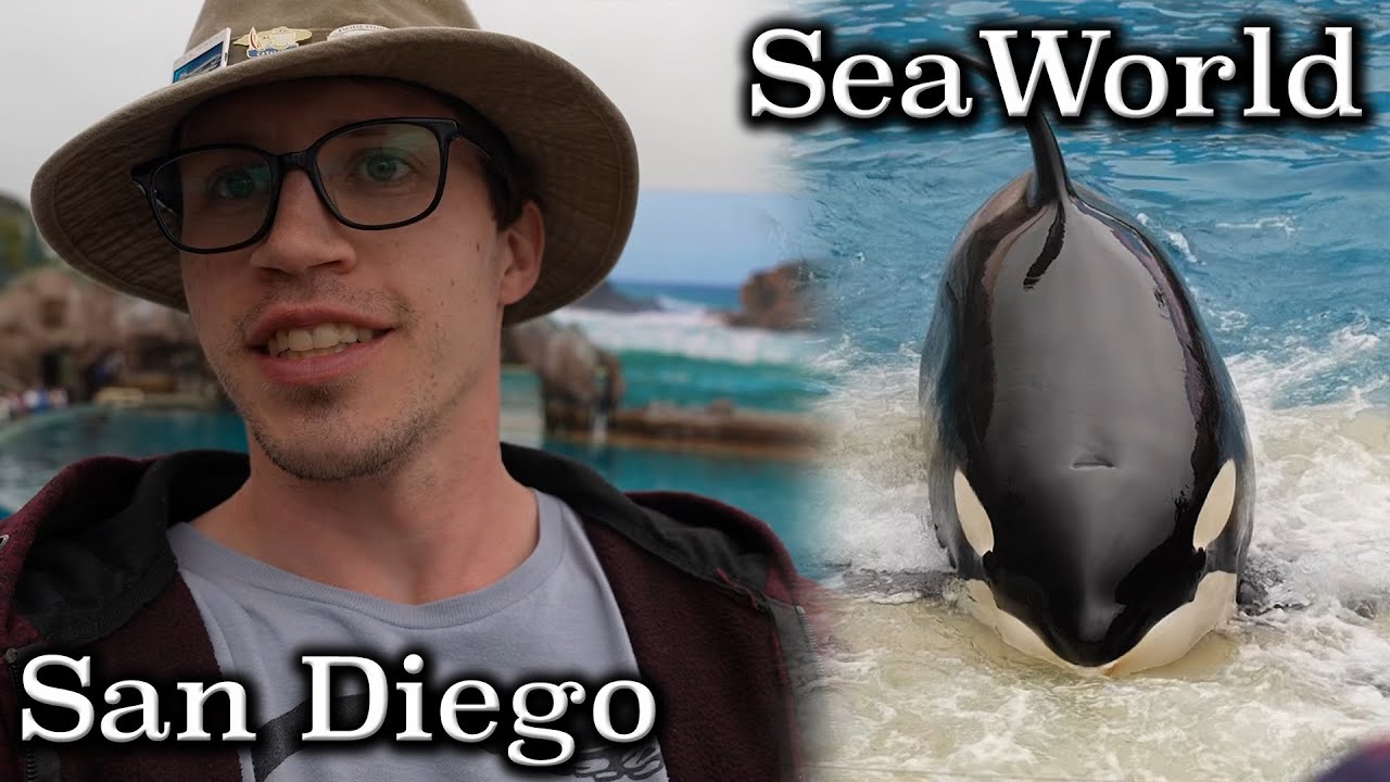 San Diego Vlog #4 - SeaWorld