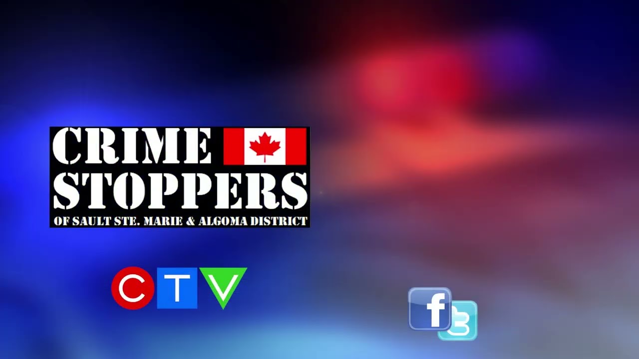 Theft and Fraud | Crime Stoppers Sault Ste. Marie and District of Algoma Inc.