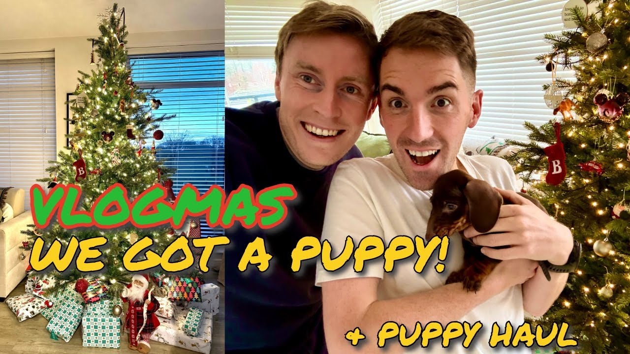 Влогмас - У нас появился щенок! 🐶🎄