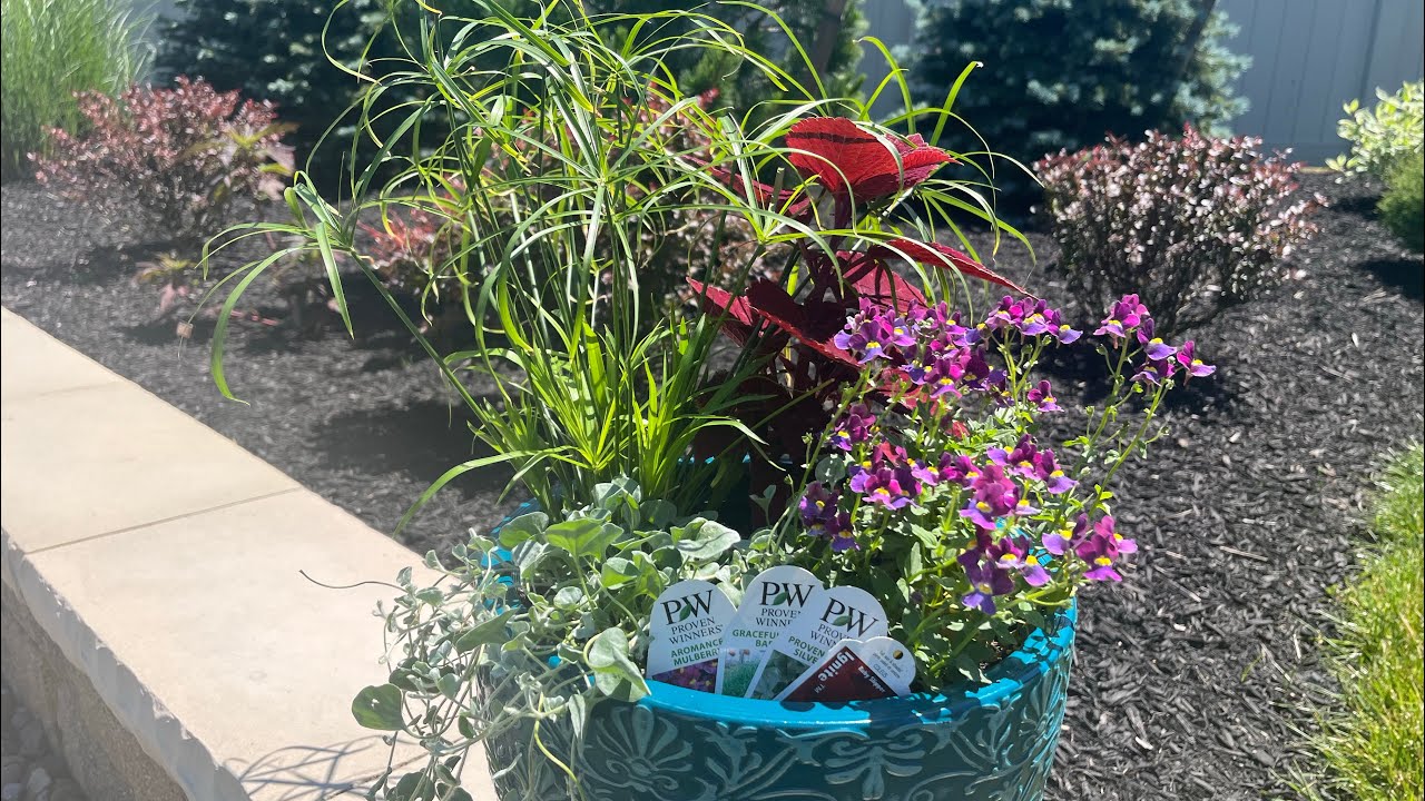 Summer Container Ideas for Full Sun & Shade! ☀️😎🌳