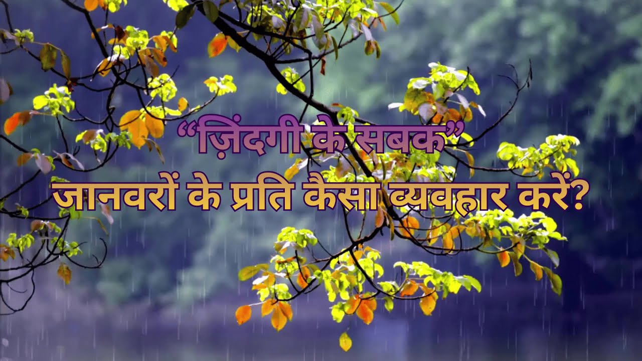जानवरों के प्रति हमारा व्यवहार कैसा होना चाहिए? | करुणा और मानवता की सच्ची पहचान | "कथाओं से ज्ञान"