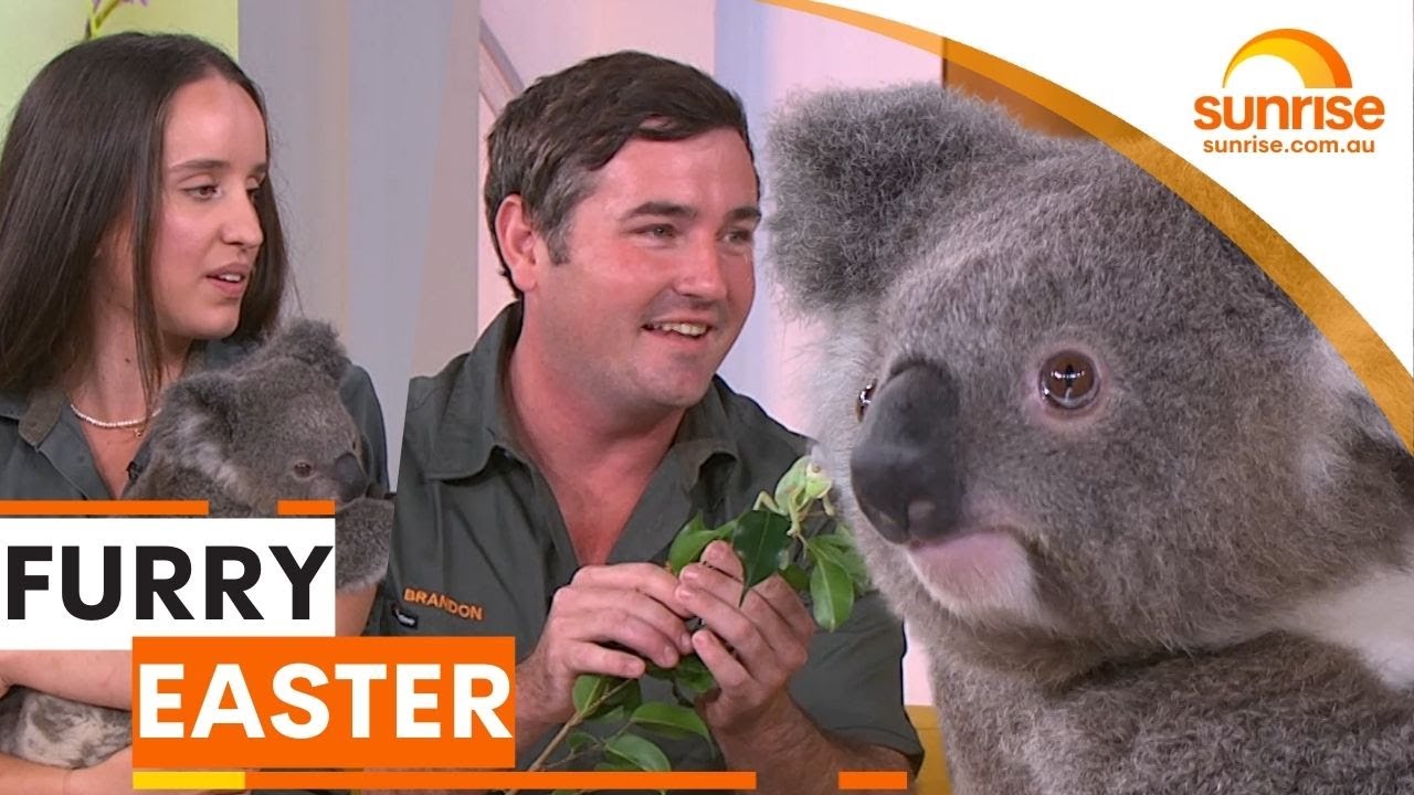 Celebrating Easter at the Australian Reptile Park | Sunrise