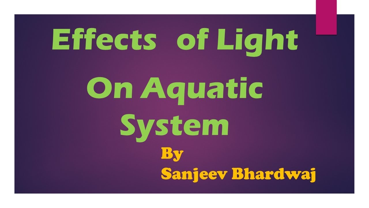 Effects of Light on Aquatic System l Littoral Zone l Limnetic zone