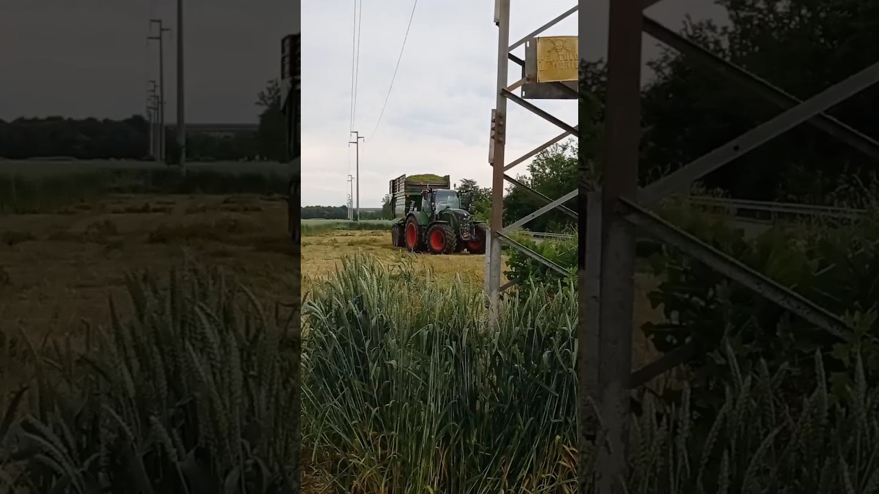 Fendt. insilato 2023 🌾