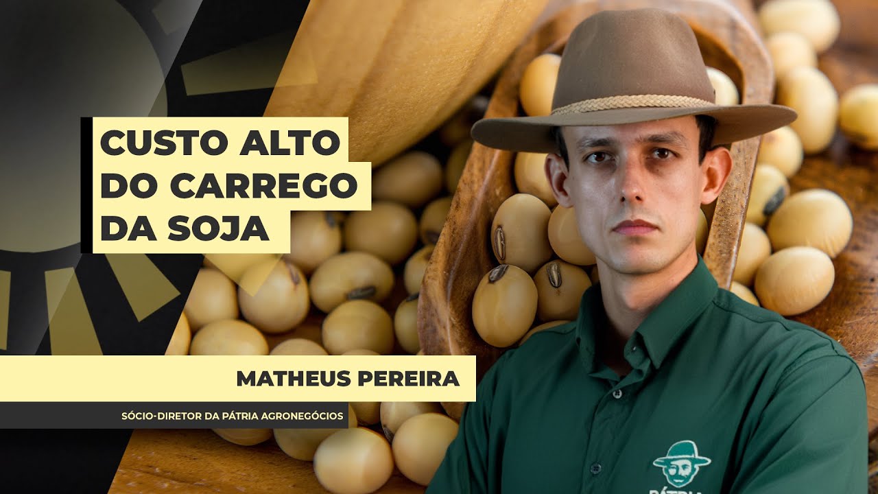 Câmbio e prêmios limitam valorização da soja no Brasil e custo do carrego do grão aperta ainda mais.