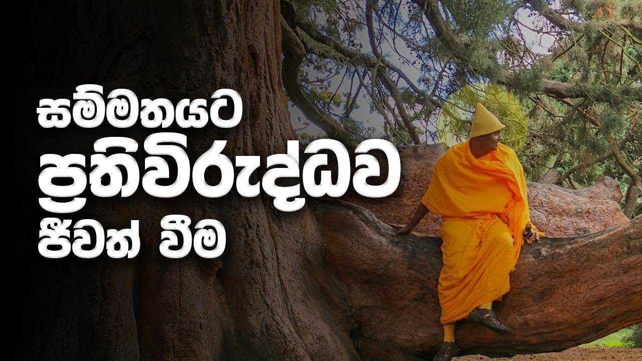 විශේෂ දේශනා -  සම්මතයට ප්‍රතිවිරුද්ධව ජීවත් වීම