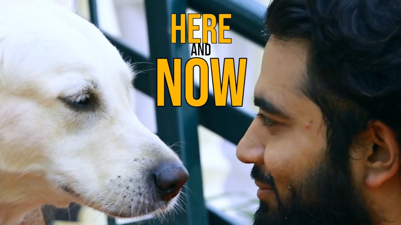 Here and Now | Radio Sai NEXT