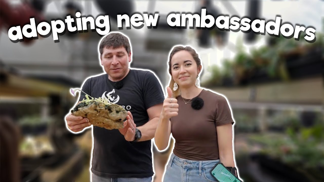Adopting NEW Ambassadors at Carnivero - 3/3/25
