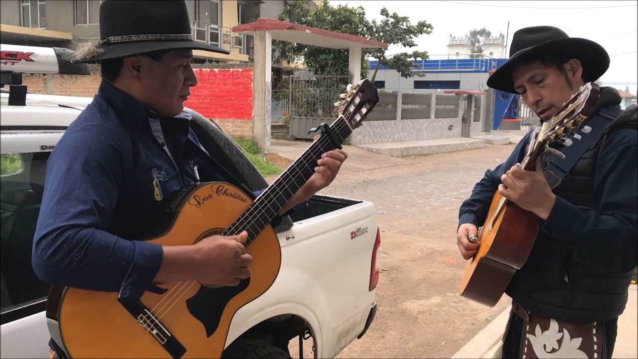 LAS HOJAS DEL ARBOL (SENTIMIENTOS DEL VALLE SDV)