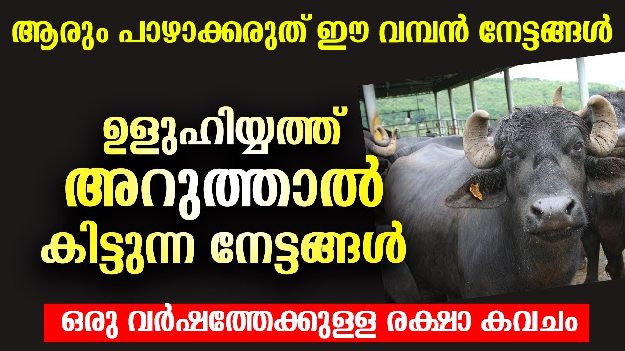 ഉളുഹിയ്യത്ത് അറുത്താൽ കിട്ടുന്ന നേട്ടങ്ങൾ | Uluhiyyath | Malayalam Islamic speech 2022 (ബലി അറുക്കൽ)