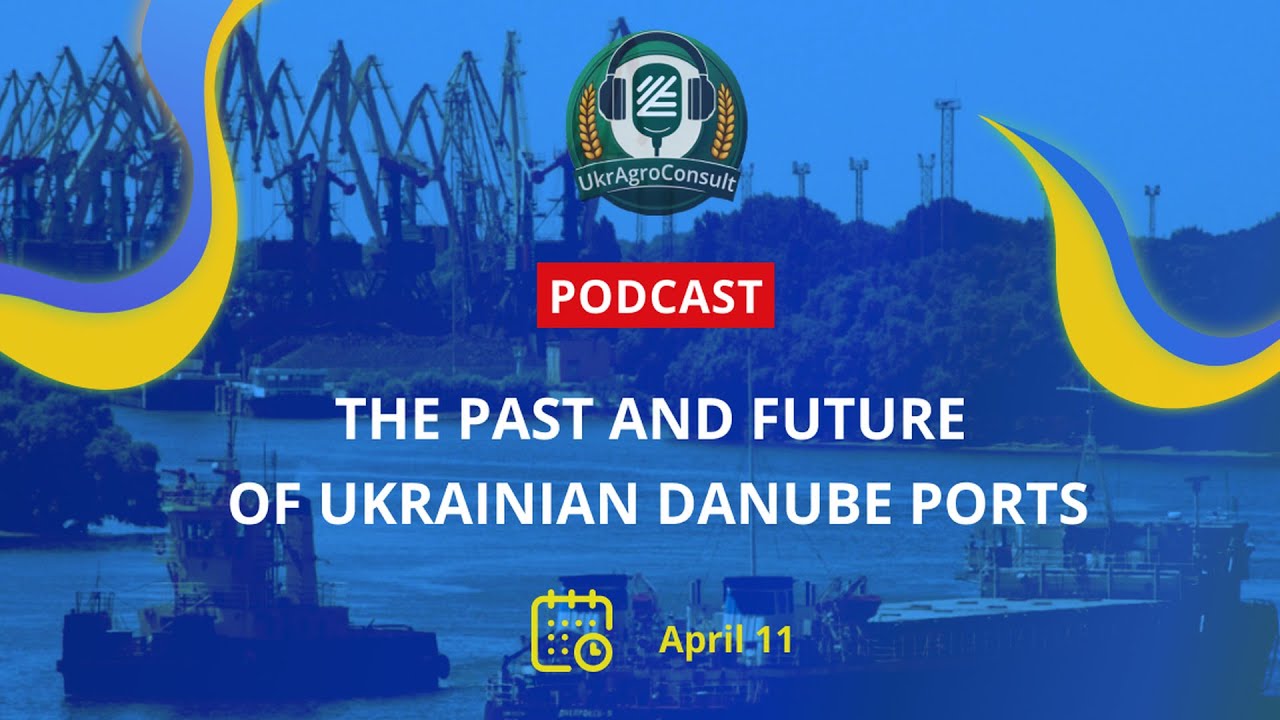 The past and future of Ukrainian Danube ports
