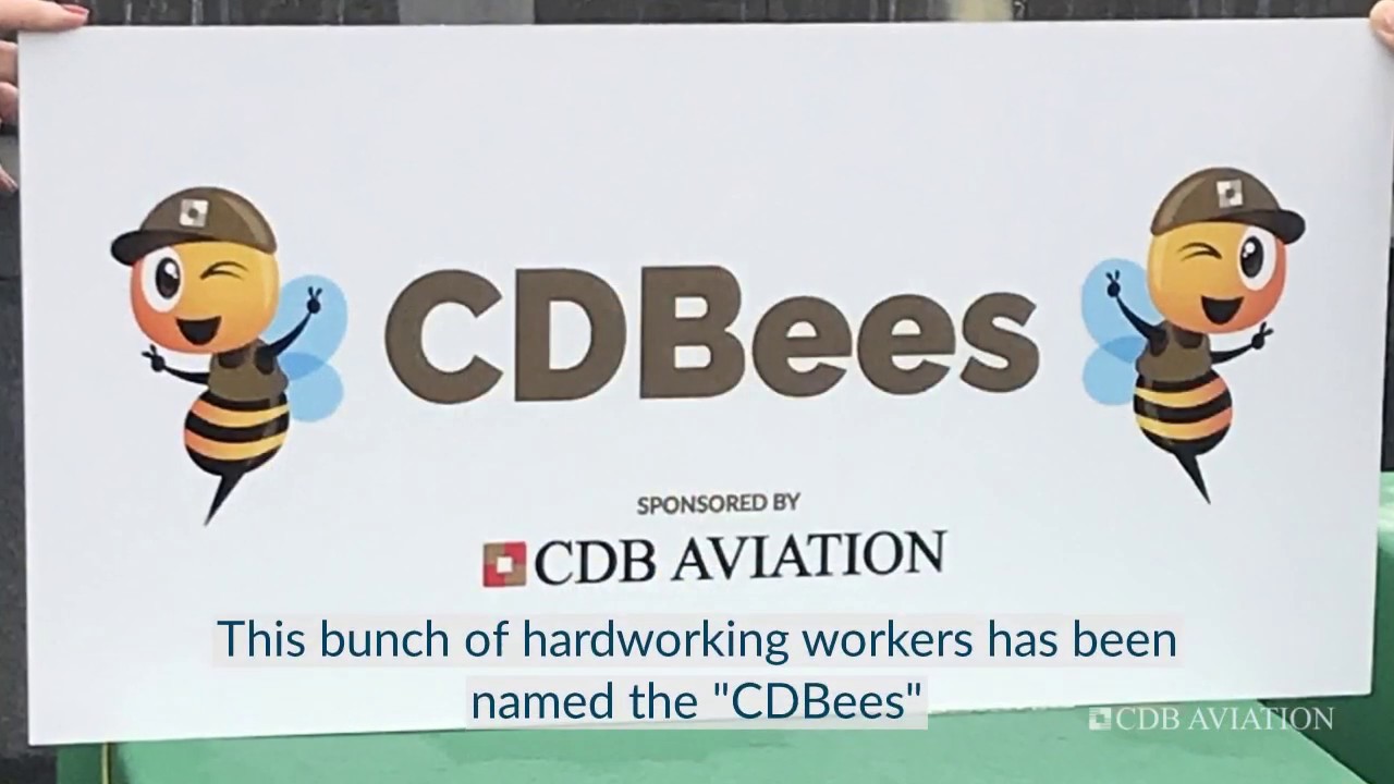 CDBees Busy at Work