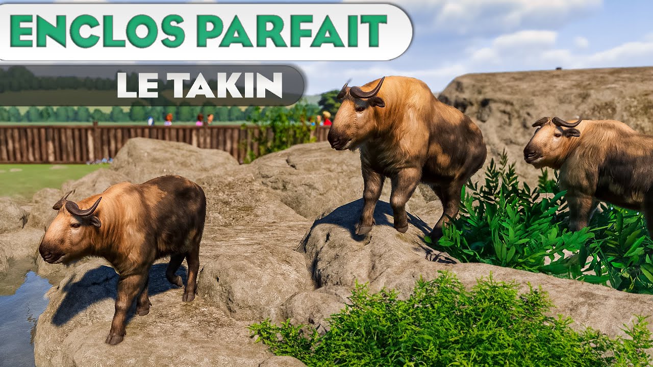 Habitat a 100% du Takin | LES ENCLOS PARFAITS : ÉPISODE 142 | PLANET ZOO