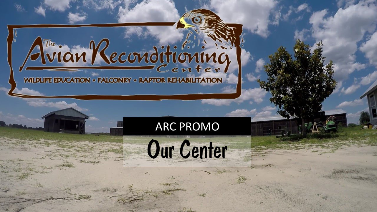 Promo - Our Center
