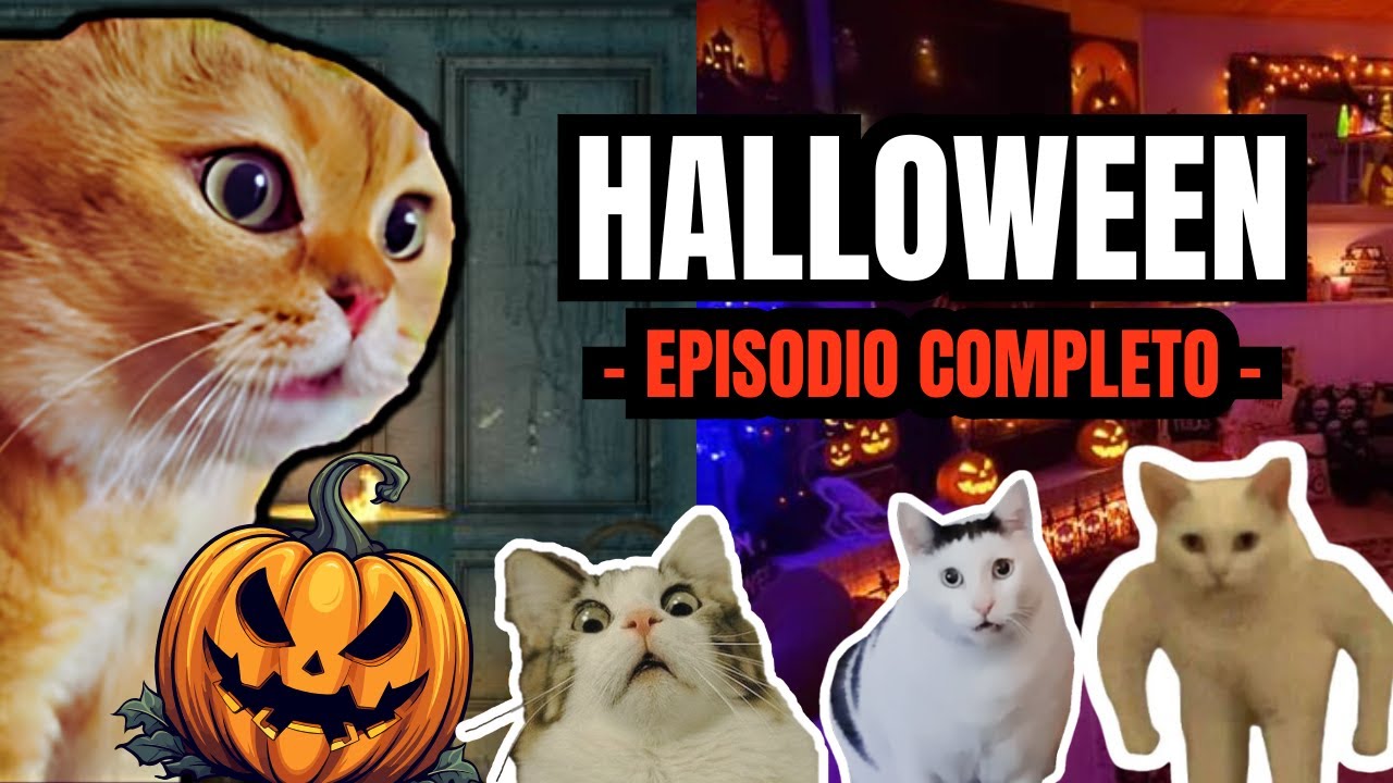 HALLOWEEN, episodio completo (meme de gatos)