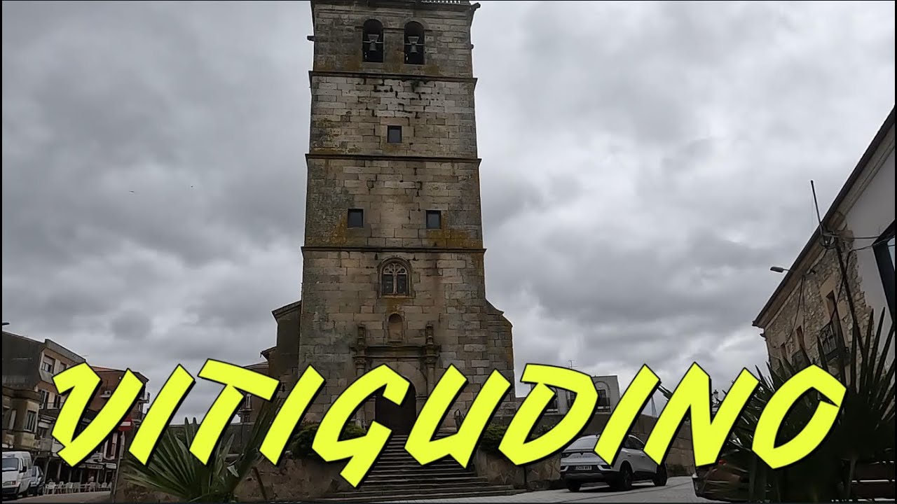 VITIGUDINO