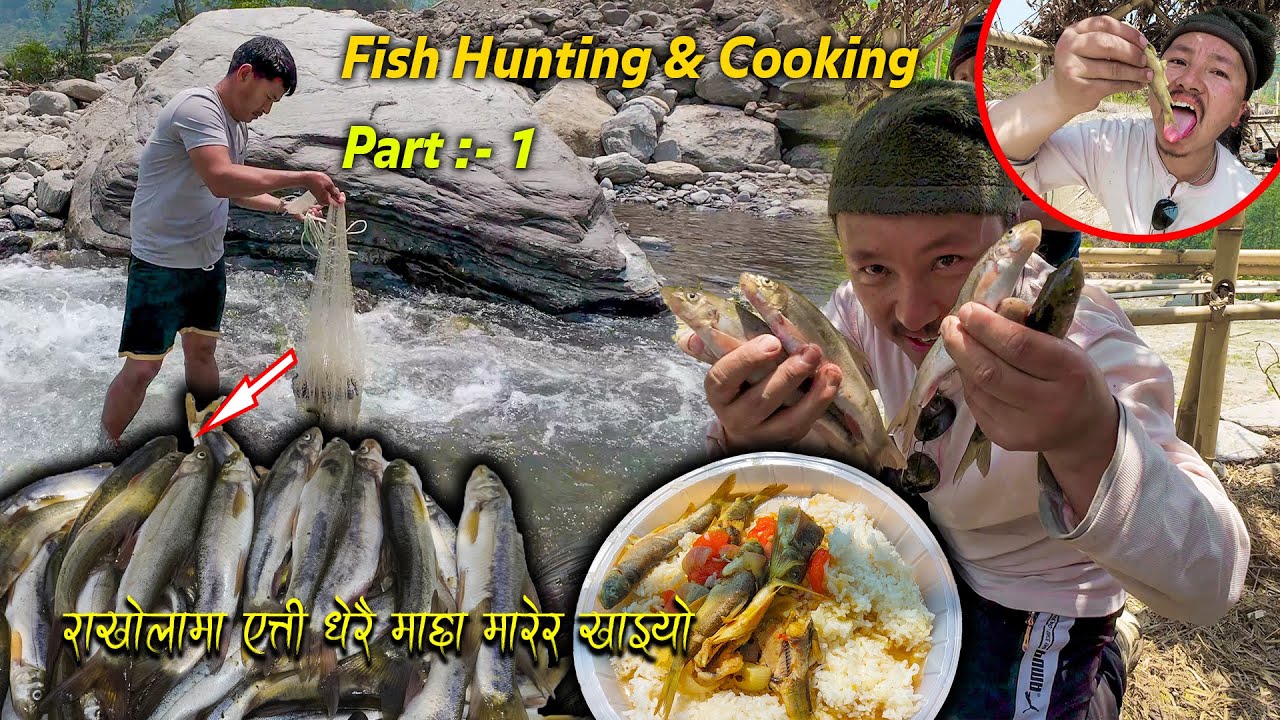 Fish Hunting cooking & eating in the river | Fishing In Himalayan River of Nepal | Fish Curry recipe