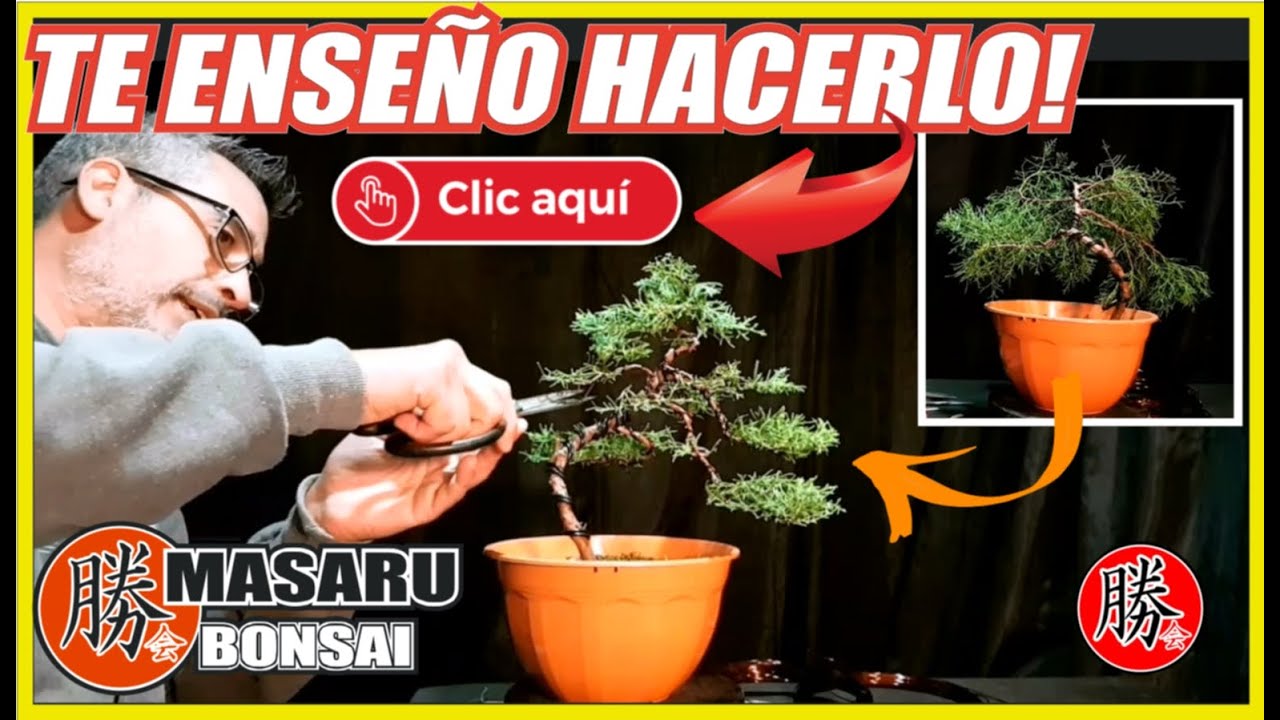 COMO DISEÑAR UN BONSAI Y COMO HACER UN ÁPICE Y RAMAS NUBES SUPER FÁCIL PASO A PASO DESDE CERO