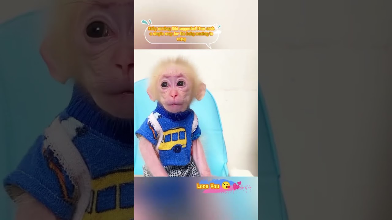 Baby monkey Bibi suggested Mom cook a simple soup for the baby monkey...