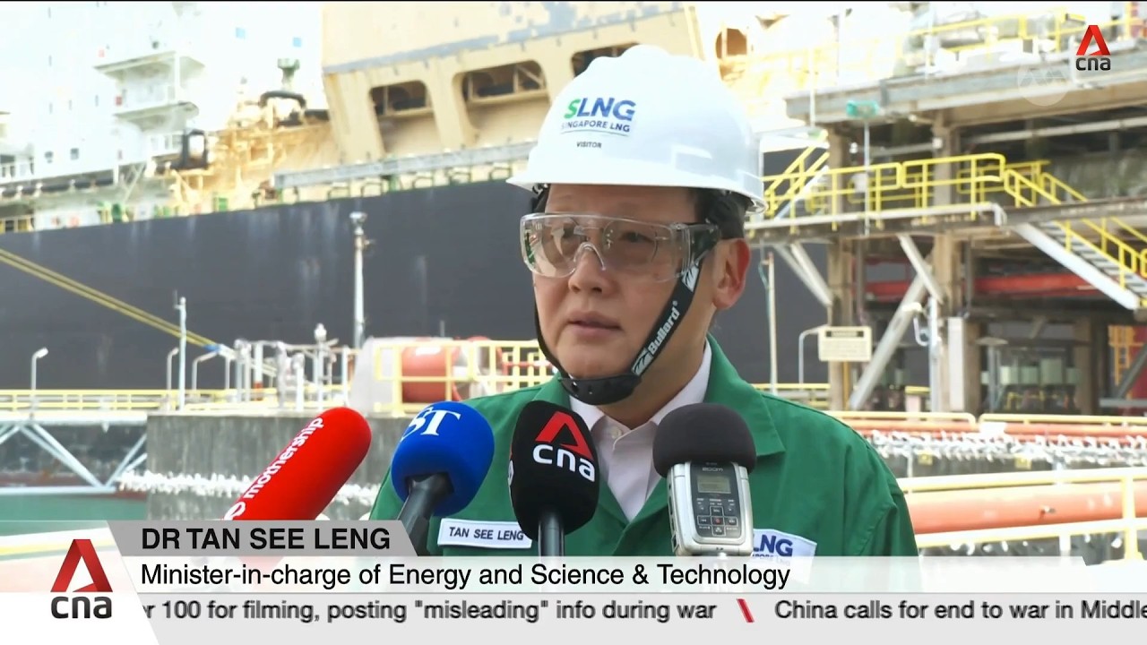 Singapore has not yet dipped into energy stockpile, is prepared for multiple scenarios: Tan See Leng