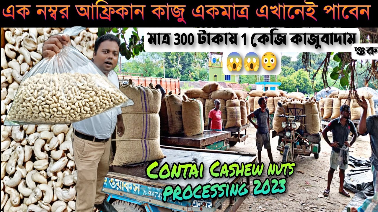 সরাসরি কারখানা থেকে কাজুবাদাম কিনে ব্যবসা করুন/contai kajubadam/contai cashew factory/Kaju Badam