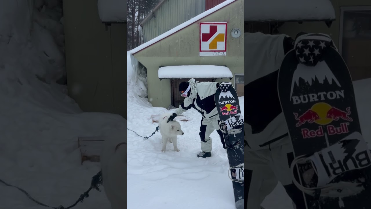 #dog #恐羅漢スキー場　#burton #snowboarding #rose #恐羅漢スノーパーク