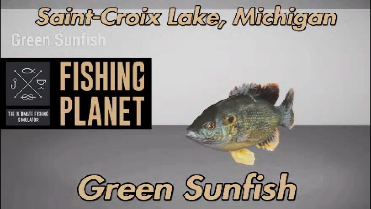 Fishing Planet Green Sunfish Saint-Croix Lake Michigan