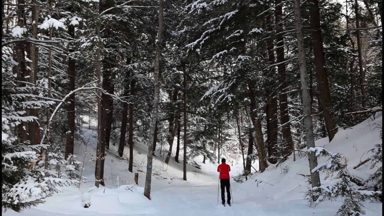 Cross Country Skiing | A Pure Michigan Winter