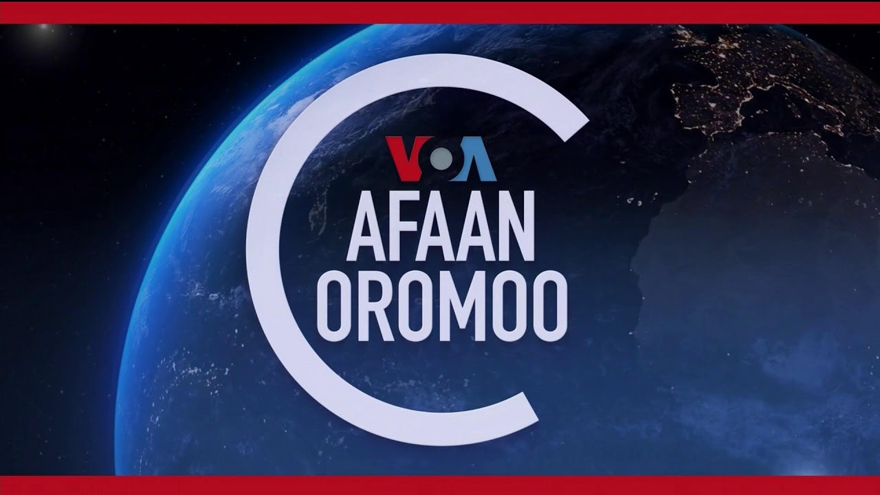 Tamsaasa Guyaadhaa Guyyaa