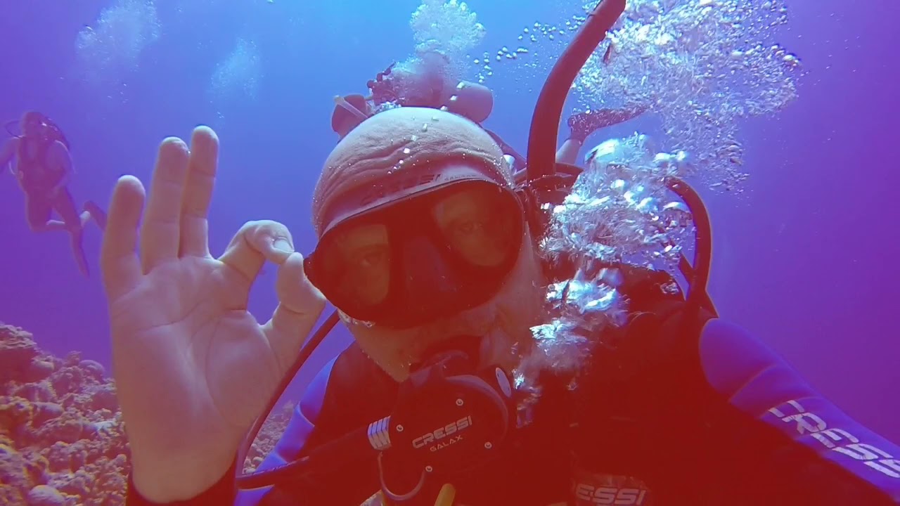 Super #scuba funny day with #BDOds