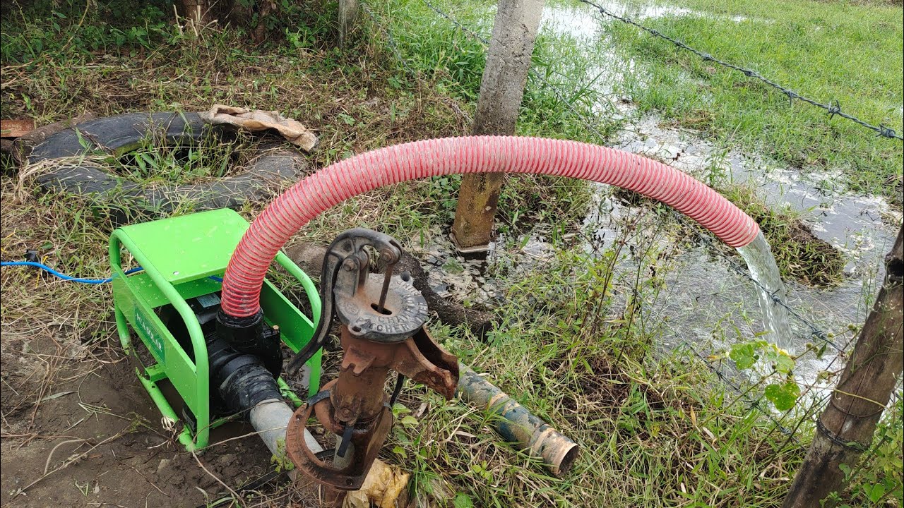 SOLAR PUMP FOR RICEFIELDS