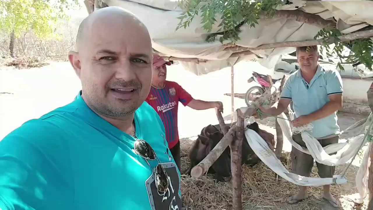 Uma vaca caída de fome no sertão, o que Deus quer nos ensinar com isso? Pr Jardel Fernandes