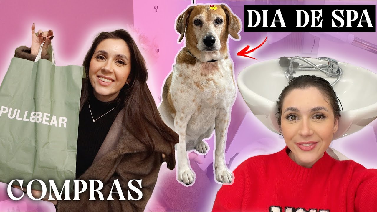 A PHOEBE foi ao SPA, COMPRAS e loucura do CHOCOLATE do LIDL | Joana Gentil