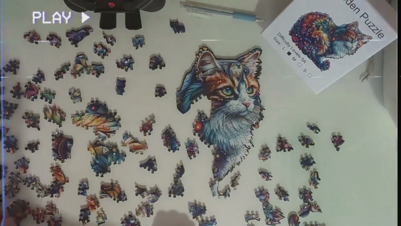 Puzzle of the day: Another Cat