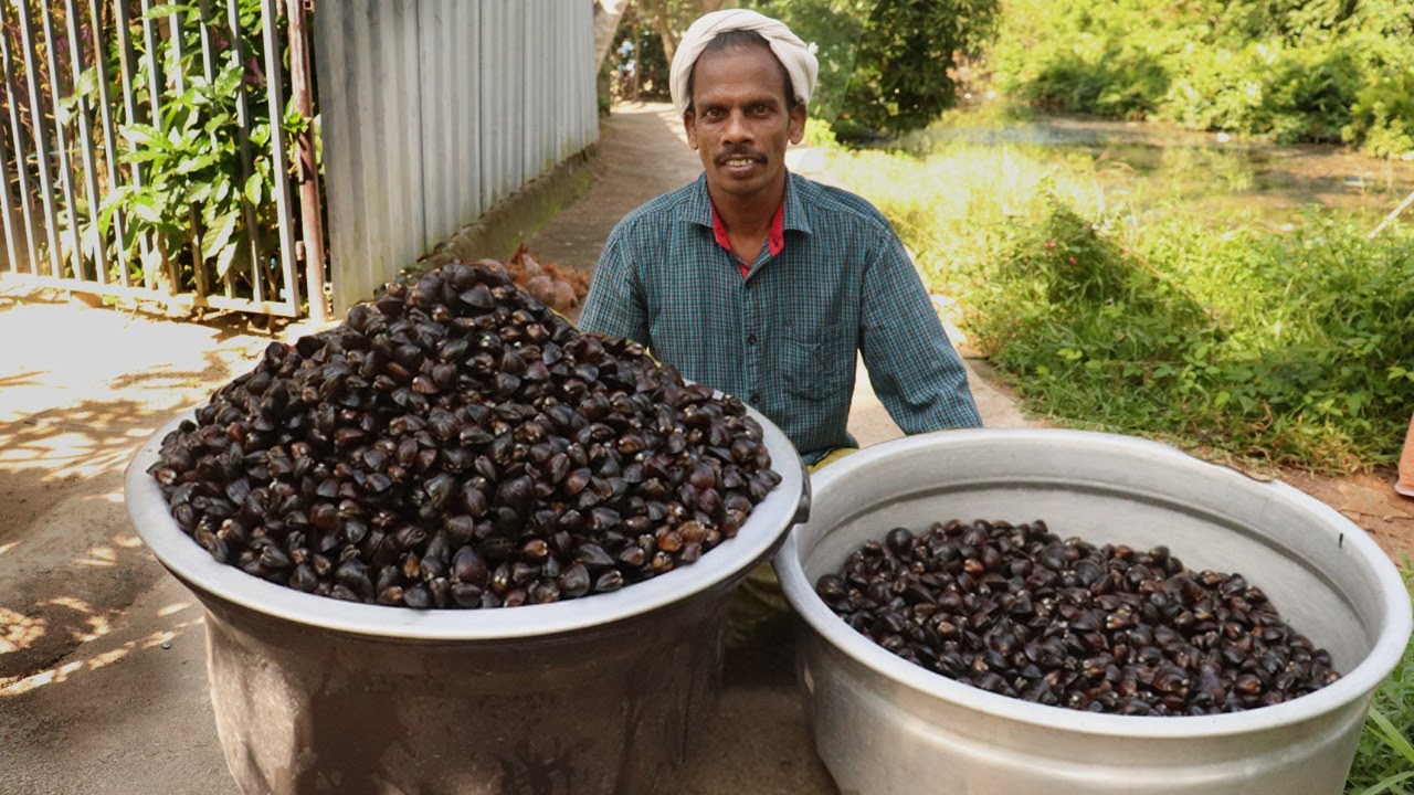 ഒരു ചാക്ക് കക്ക വാരി ഷാപ്പ് മോഡൽ റോസ്റ്റ് ചെയ്തപ്പോൾ..പൊളിച്ചൂ മക്കളെ ...Clam Dry Roast Recipe
