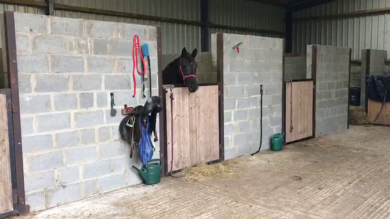 Castlerickard, Longwood - Team Lorraine Mulligan RE/MAX Results Auctioneers Lucan