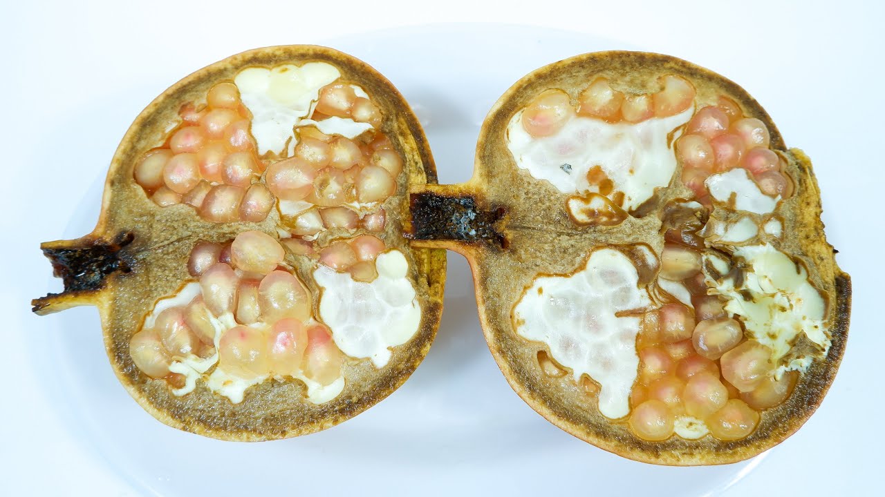 Rotting Pomegranate Time Lapse in 45 Days