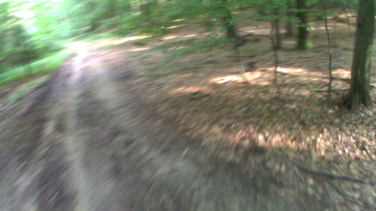Gilera RX 125 ---- Forest ride