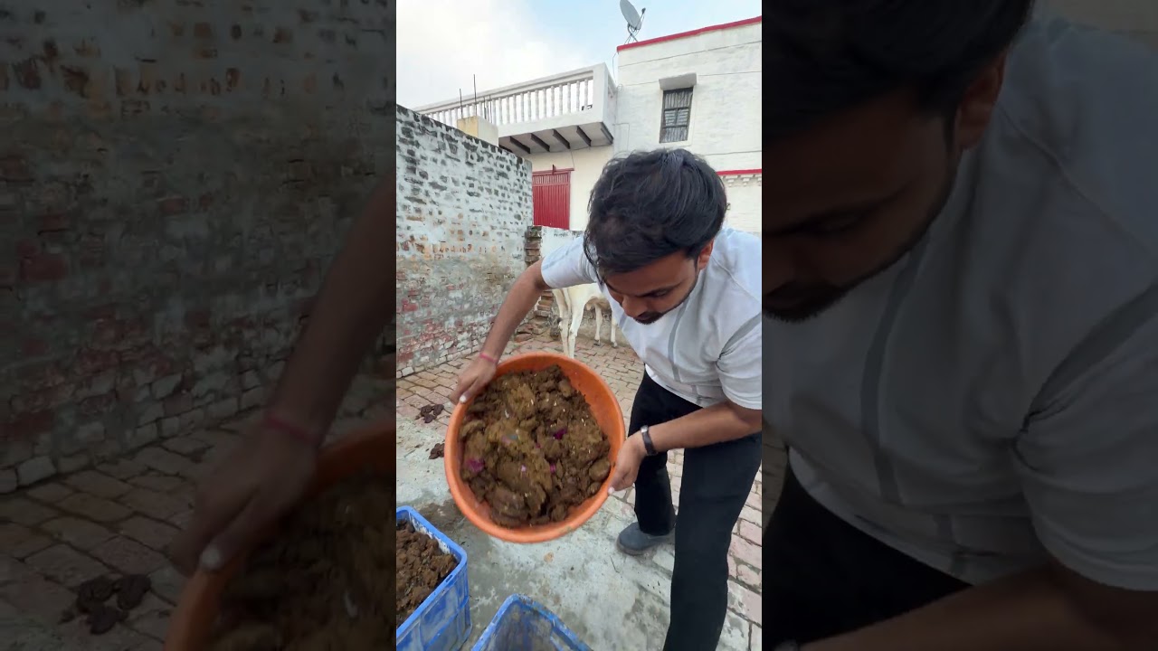 #vermicompost #compost #organic #vermicomposting #composting #sustainability #zerowaste