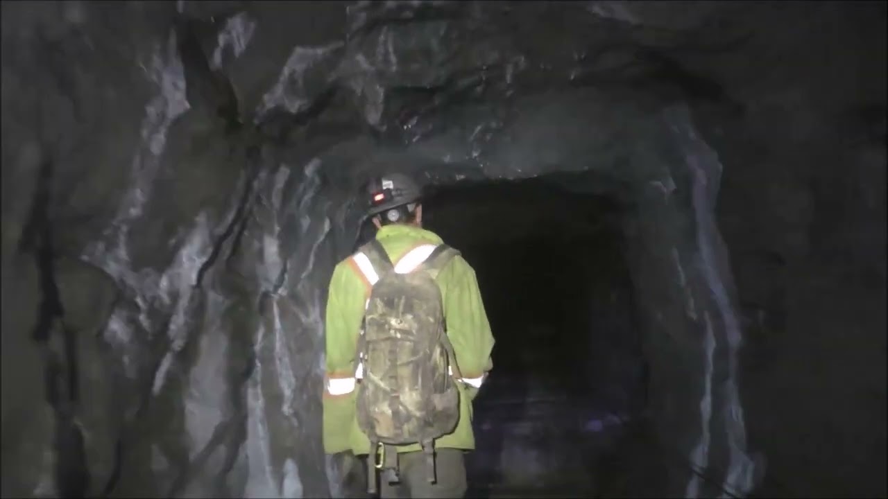 #81 HB  Mine mission...SAVE THE BATS !