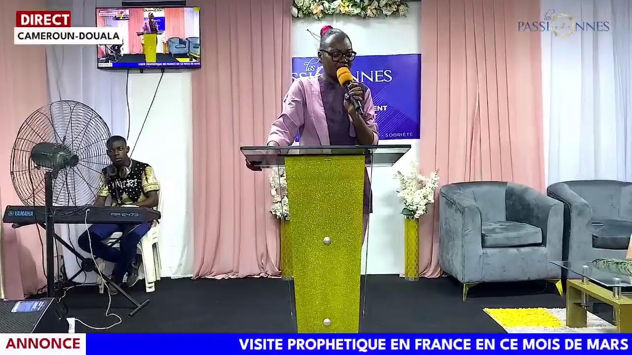 MARDI D'IMPACT