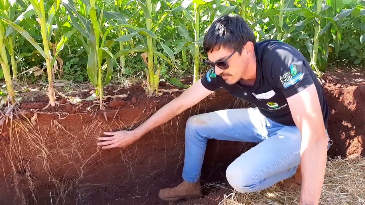 O Segredo dos Campeões de Produtividade