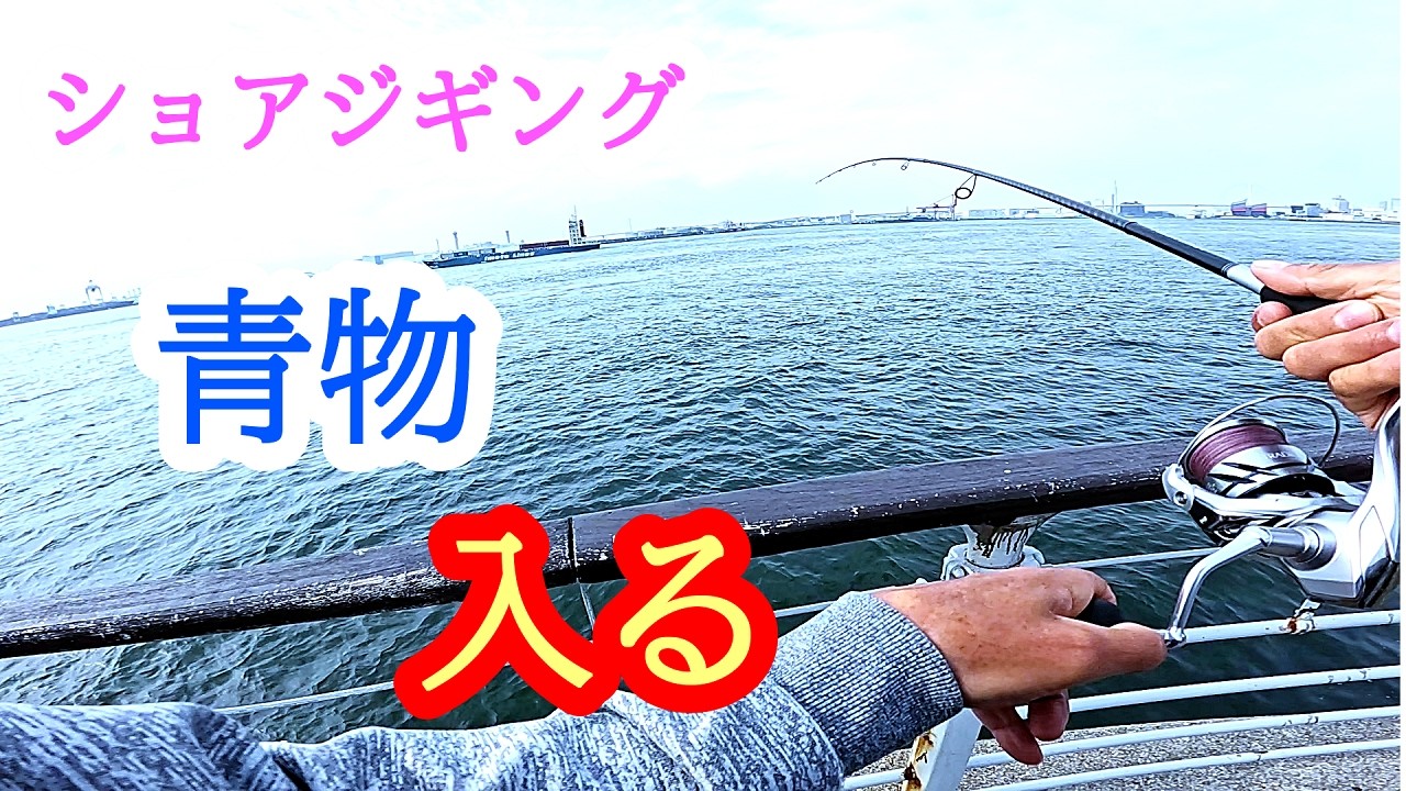 ショアジギング　初心者安全　湾奥ブリ　ハマチ入る　シーサイドコスモ　２０２５年５月中旬釣行　#大阪湾奥　#ルアー釣り　#シーサイドコスモ　#ブリ　#ハマチ　#トリックビート　#釣り初心者　# 三宅商店