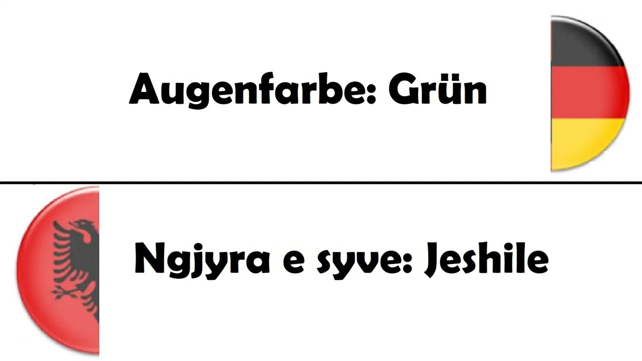 Meso Gjermanisht A1 Mesimi 8 Prezantimi