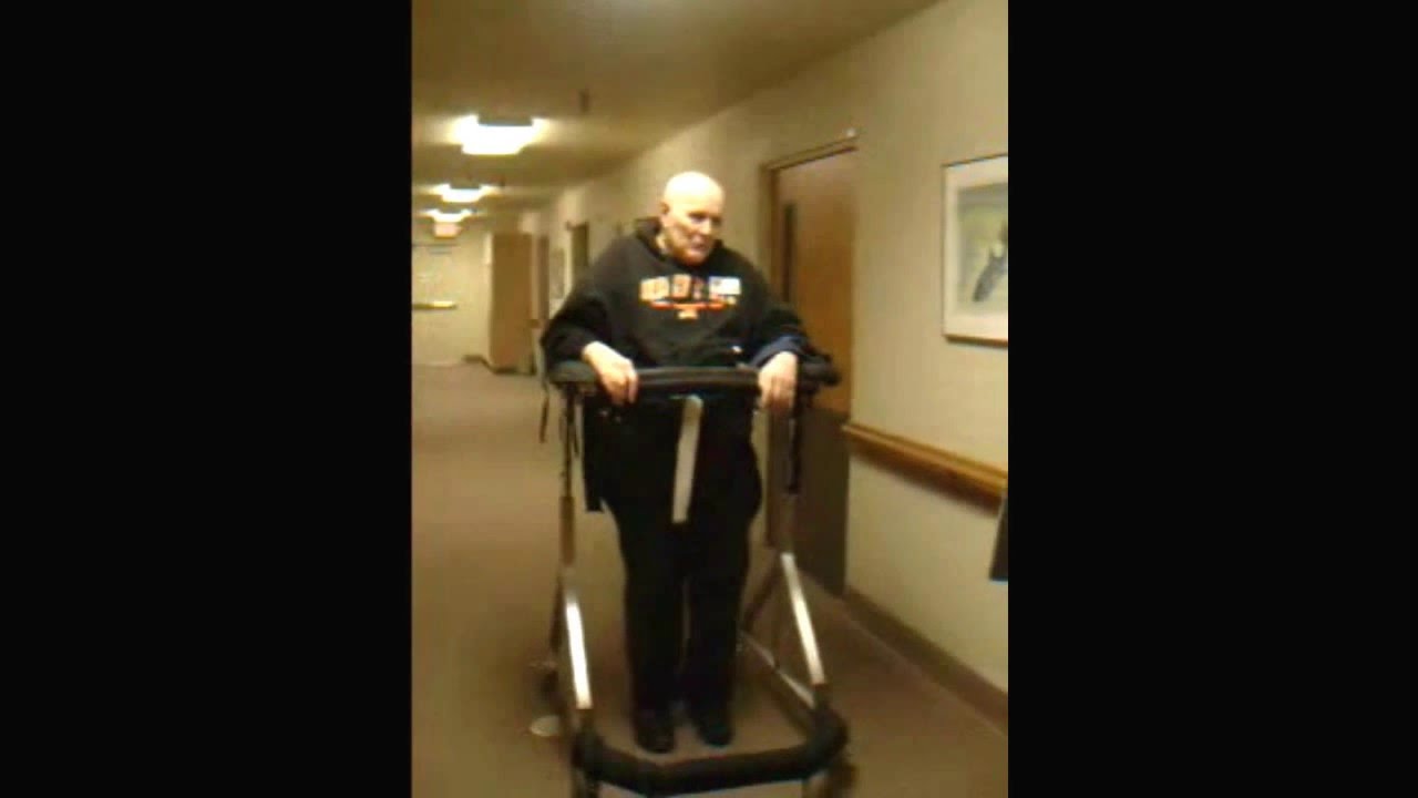 Who is using the Gait Harness System
