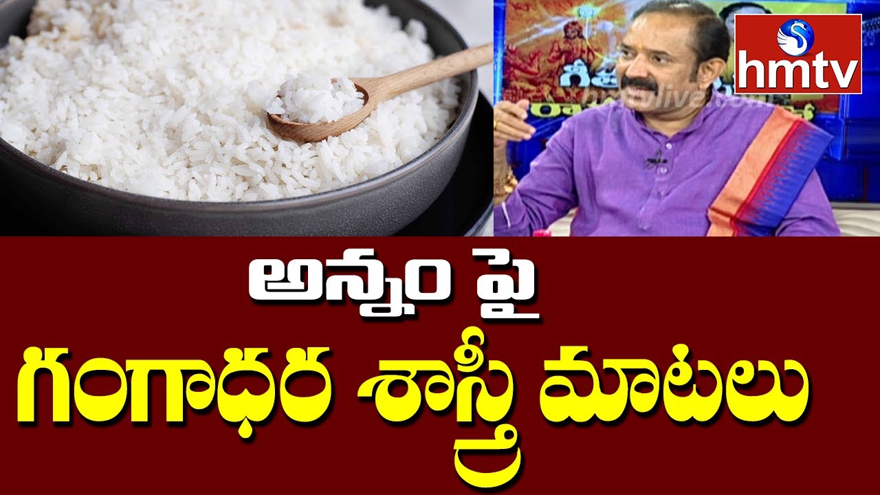 అన్నం పై గంగాధర శాస్త్రీ మాటలు | Gangadhara Sastry Special Interview | hmtv