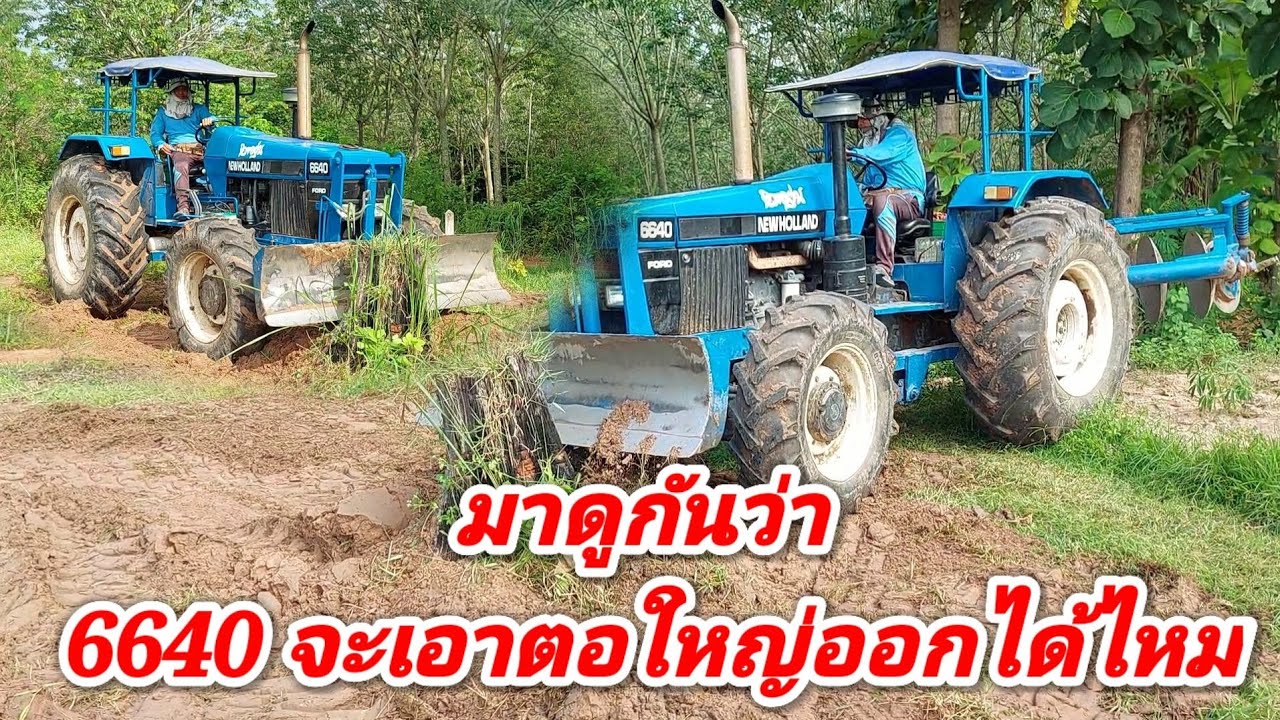 รถไถ 6640 NEW HOLLAND ดันตอไม้ใหญ่ มาดูกันว่าจะเอาออกไหม